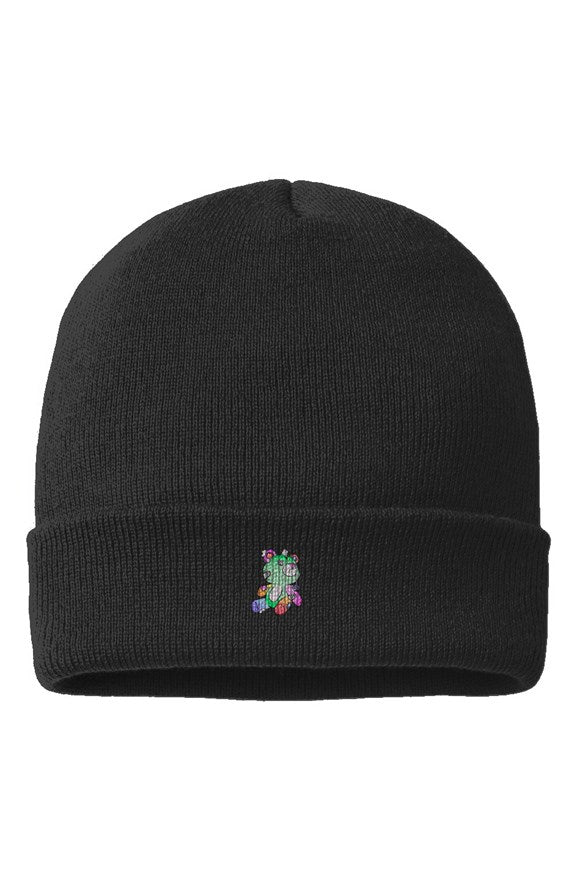 Rainbow Archie Beanie